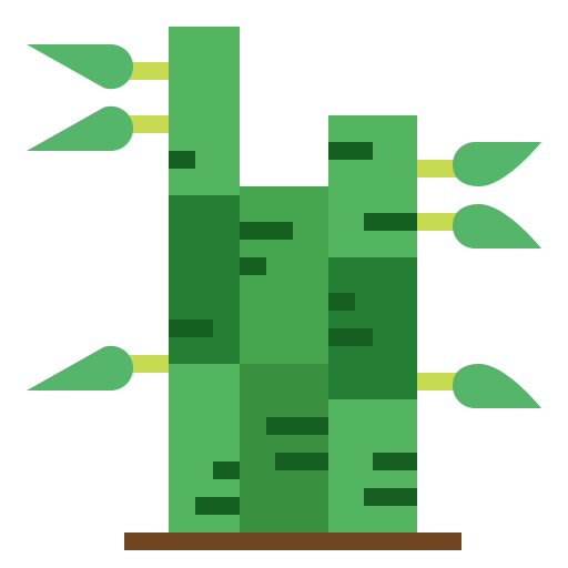 - bamboo - Blogs - photo bamboo - bamboo - Blogs